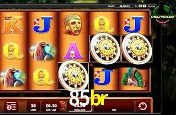 Flash Promotion 85br